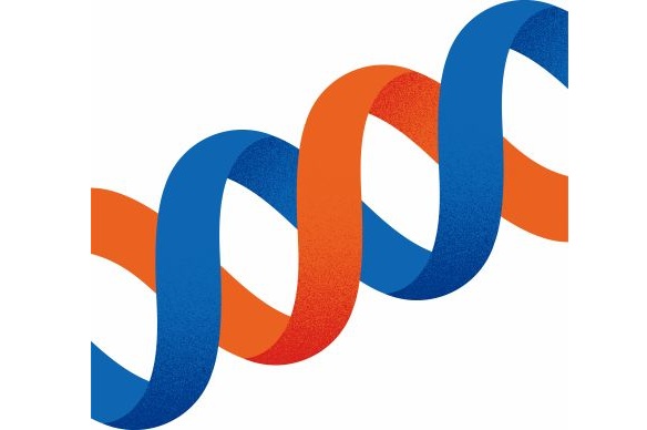 アイディルートコンサルティング株式会社