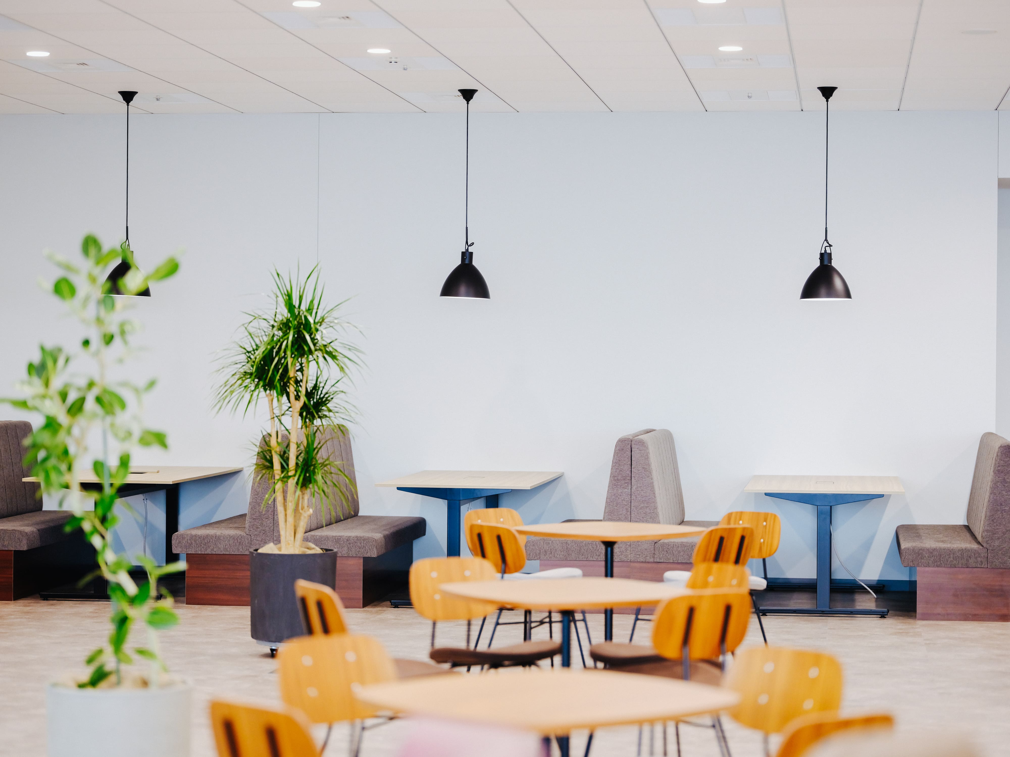 株式会社Datachain