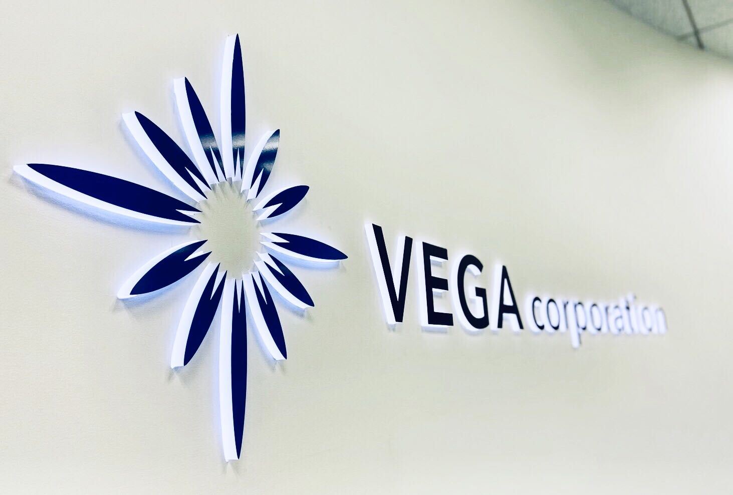 株式会社ベガコーポレーション