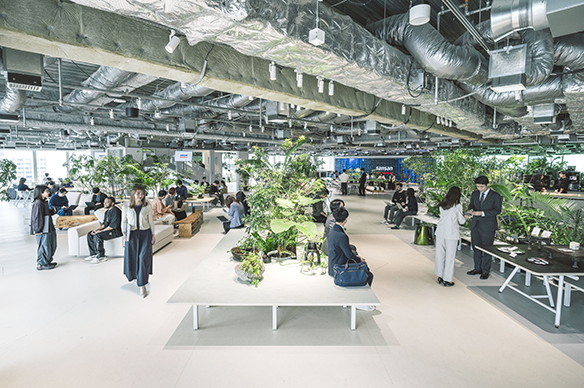 Sansan株式会社