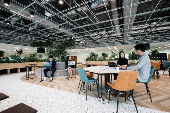 株式会社ブレインパッド