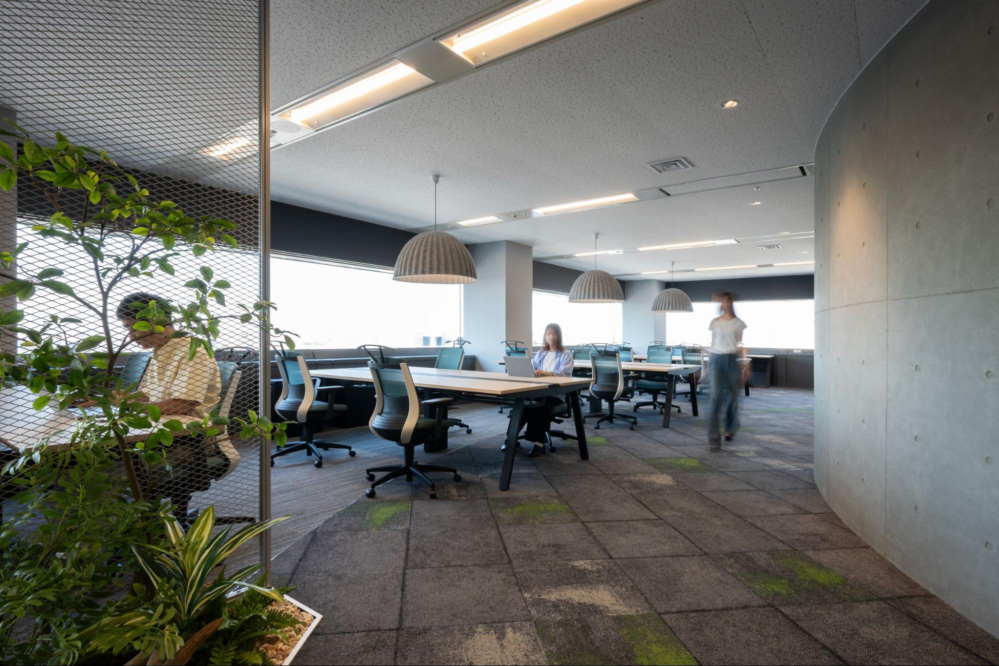 DATUM STUDIO株式会社